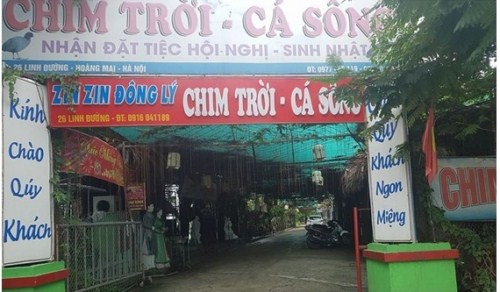 Nhà hàng chim trời cá sông ngon tại Hà Nội